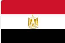 https://www.visaegyptian.org/Content/images/logo.png